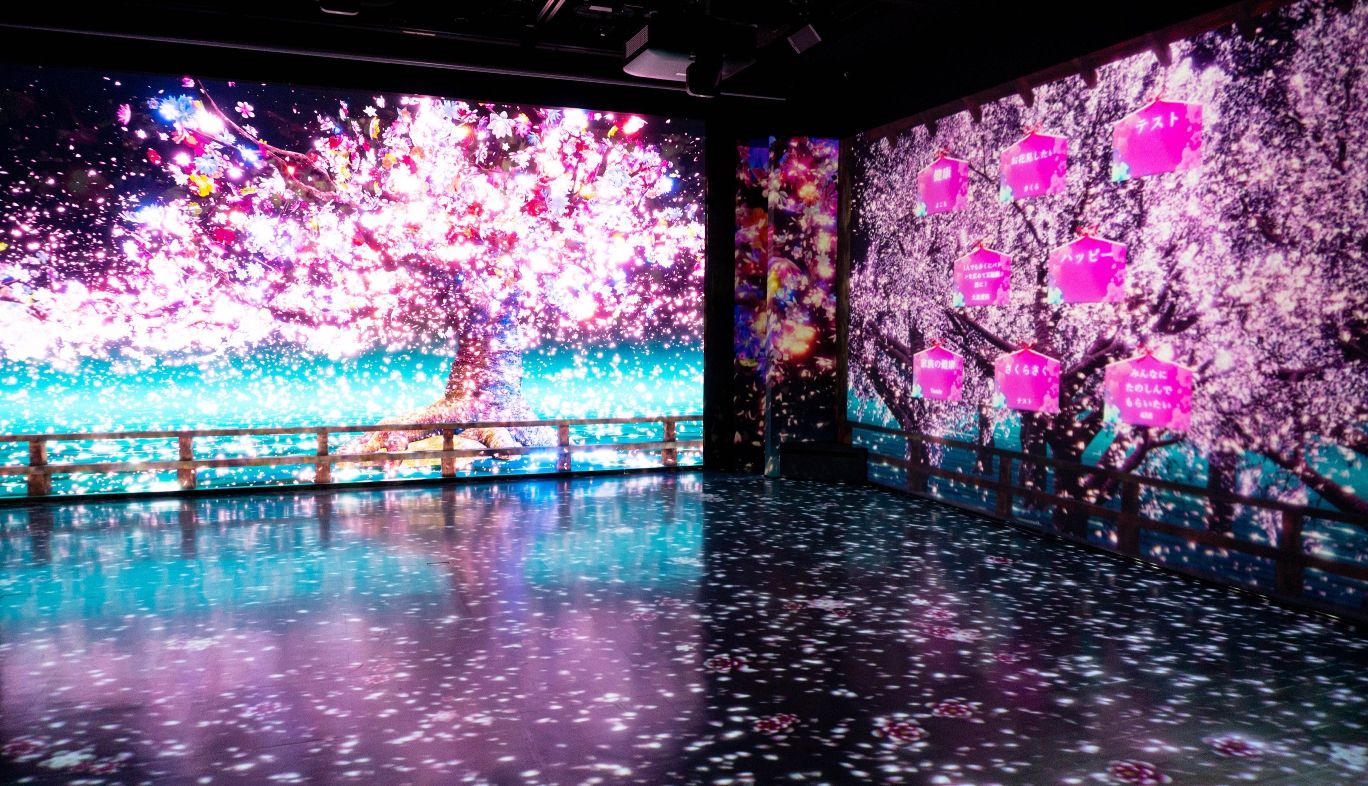 幻想的な世界に没入できるお花見体験！GINZA 456の「願い
